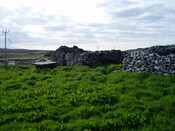EHG3837_10.JPG
