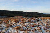 EHG3838_01.JPG