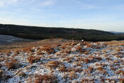 EHG3838_02.JPG