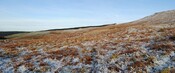 EHG3838_05.jpg
