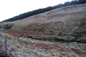 EHG3838_06.JPG