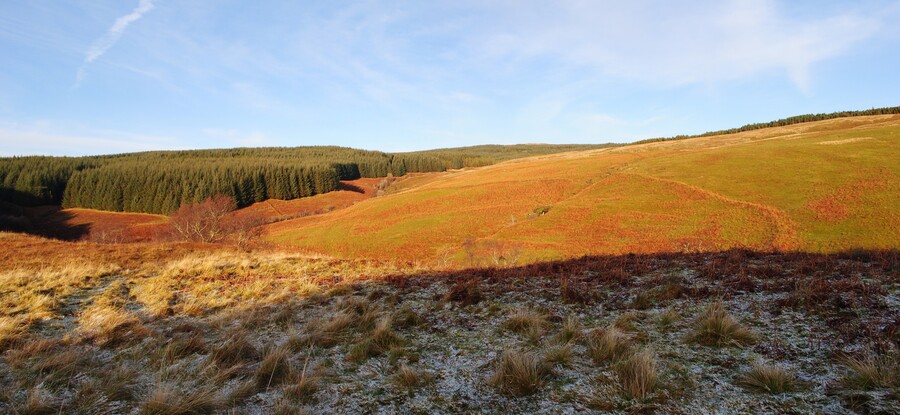 EHG3838_07.jpg