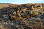 EHG3838_09.JPG