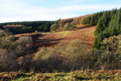 EHG3838_10.JPG