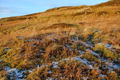 EHG3838_13.JPG