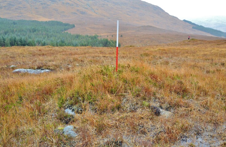 EHG3839_02.JPG