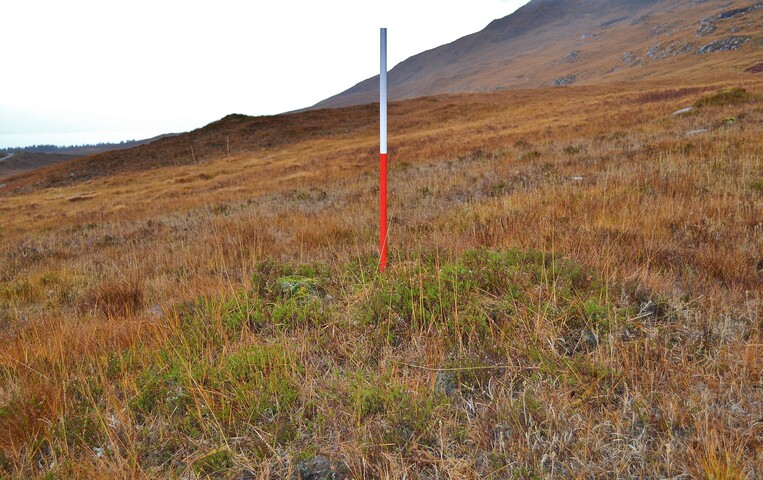 EHG3839_03.JPG
