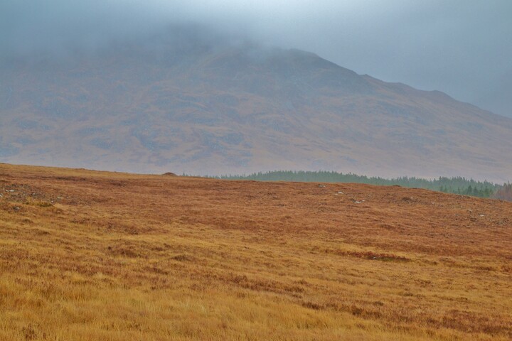 EHG3839_05.JPG
