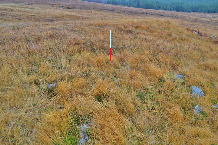 EHG3839_08.JPG
