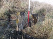 MHG8886_dsc00732_15.jpg