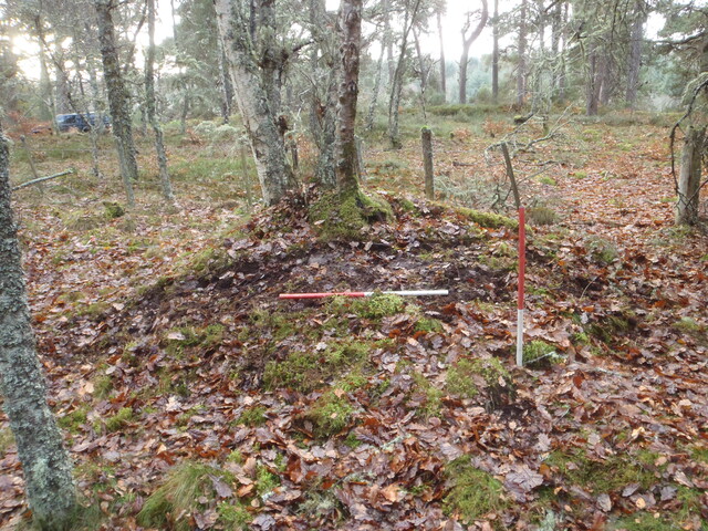EHG3794_QUAR_002.jpg