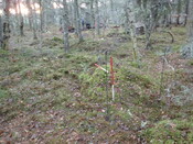 EHG3794_QUAR_011.jpg