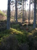 EHG3794_QUAR_033.JPG