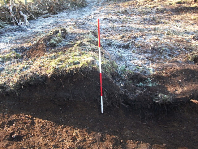 EHG3794_QUAR_035.JPG