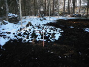 EHG3794_QUAR_050.JPG