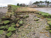 SHG25916_3.JPG