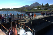 JMBriscoe_Mackinnon's_pier_3.jpg