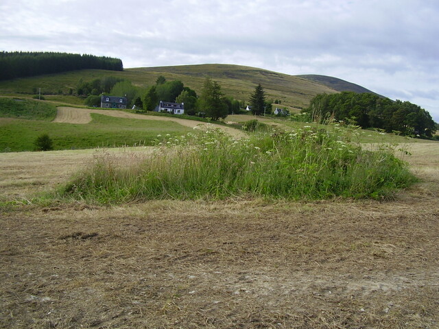 Adamnan's Graveyard looking N.JPG