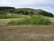 Adamnan's Graveyard looking N.JPG