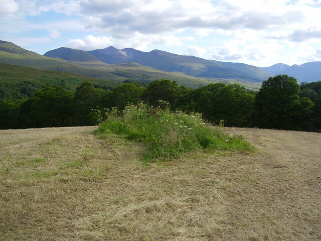 Adamnan's Graveyard looking SW.JPG