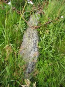 Adamnan's Graveyard top stone.JPG