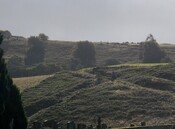 Enclosure4.JPG