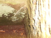 MHG6315 Nonikiln holy well interior.JPG
