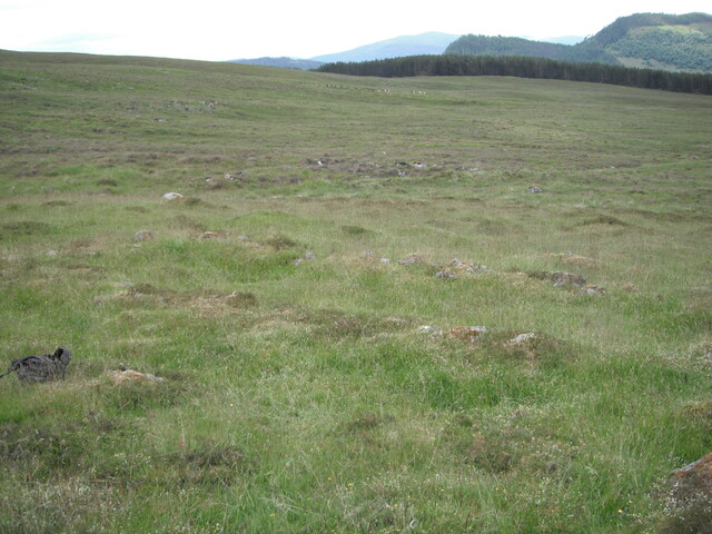 16.JPG