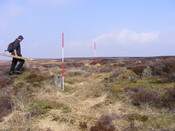 EHG3863_2.jpg