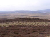 EHG3863_6.jpg