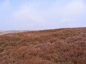 EHG3863_7.jpg
