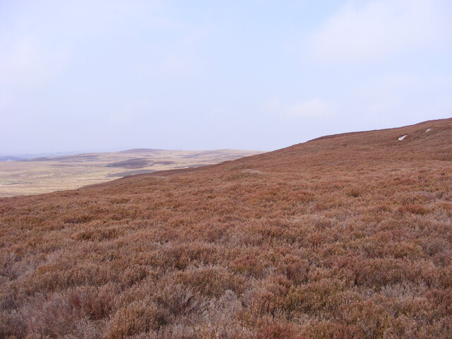 EHG3863_10.jpg