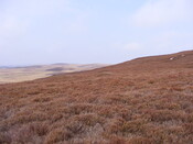 EHG3863_10.jpg