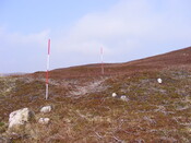 EHG3863_14.jpg