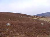 EHG3863_16.jpg