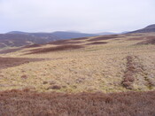 EHG3863_18.jpg