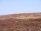 EHG3863_23.jpg