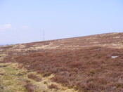 EHG3863_24.jpg