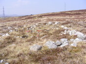 EHG3863_26.jpg