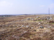 EHG3863_27.jpg