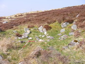 EHG3863_31.jpg