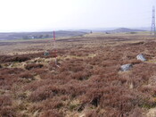 EHG3863_34.jpg