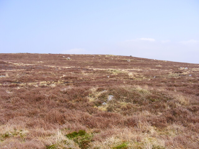 EHG3863_36.jpg