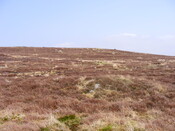 EHG3863_36.jpg