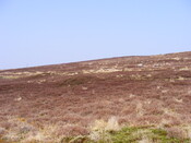 EHG3863_37.jpg