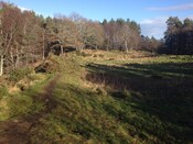 Craig_Phadraig_16_02_2014_4.jpg