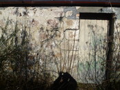 EH3880_16.JPG