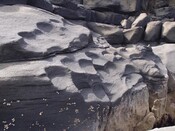 EHG3885_Stone_Quarry_Skye_12.jpg