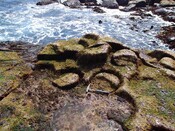 EHG3885_Stone_Quarry_Skye_2.jpg