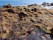 EHG3885_Stone_Quarry_Skye_5.jpg